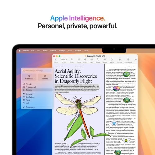 MacBook Air 13,6