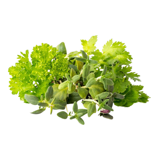 Click and Grow Smart Garden Refill 9-pack - Grill & Steak Mix